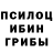 Галлюциногенные грибы GOLDEN TEACHER CO RO