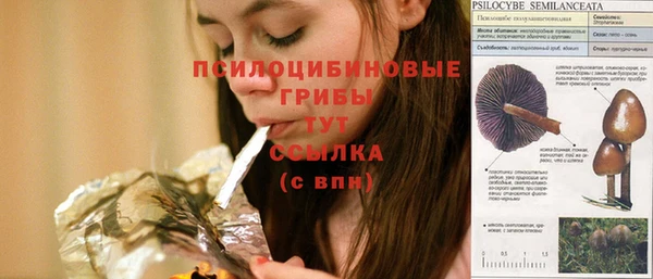 прущая мука Абдулино