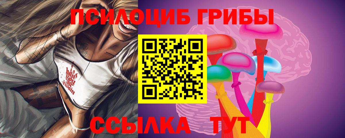 Псилоцибиновые грибы Psilocybine cubensis  как найти наркотики  Тихорецк  Вход с VPN 